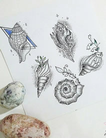 黑灰海螺纹身手稿
