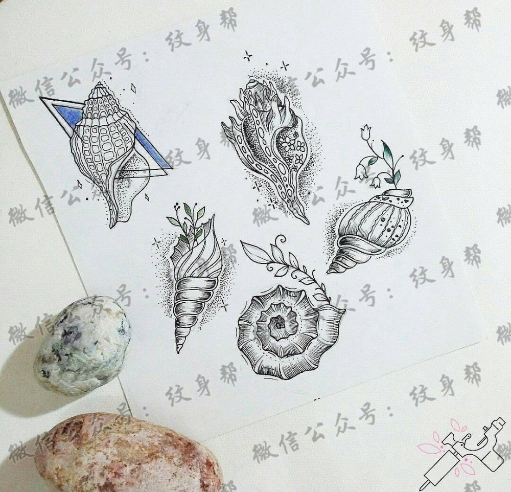 黑灰海螺纹身手稿