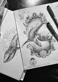 黑灰海狮点刺贝壳纹身手稿