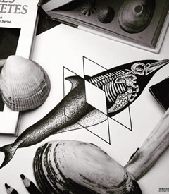 黑灰海豚几何纹身手稿