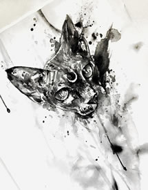 黑灰泼墨猫纹身手稿