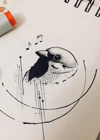 黑灰小鸟线条纹身手稿