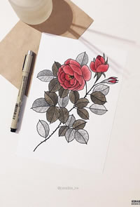 色彩玫瑰花树叶纹身手稿