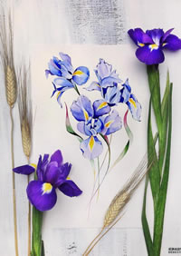 色彩兰花纹身手稿