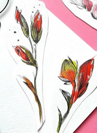 色彩花纹身手稿