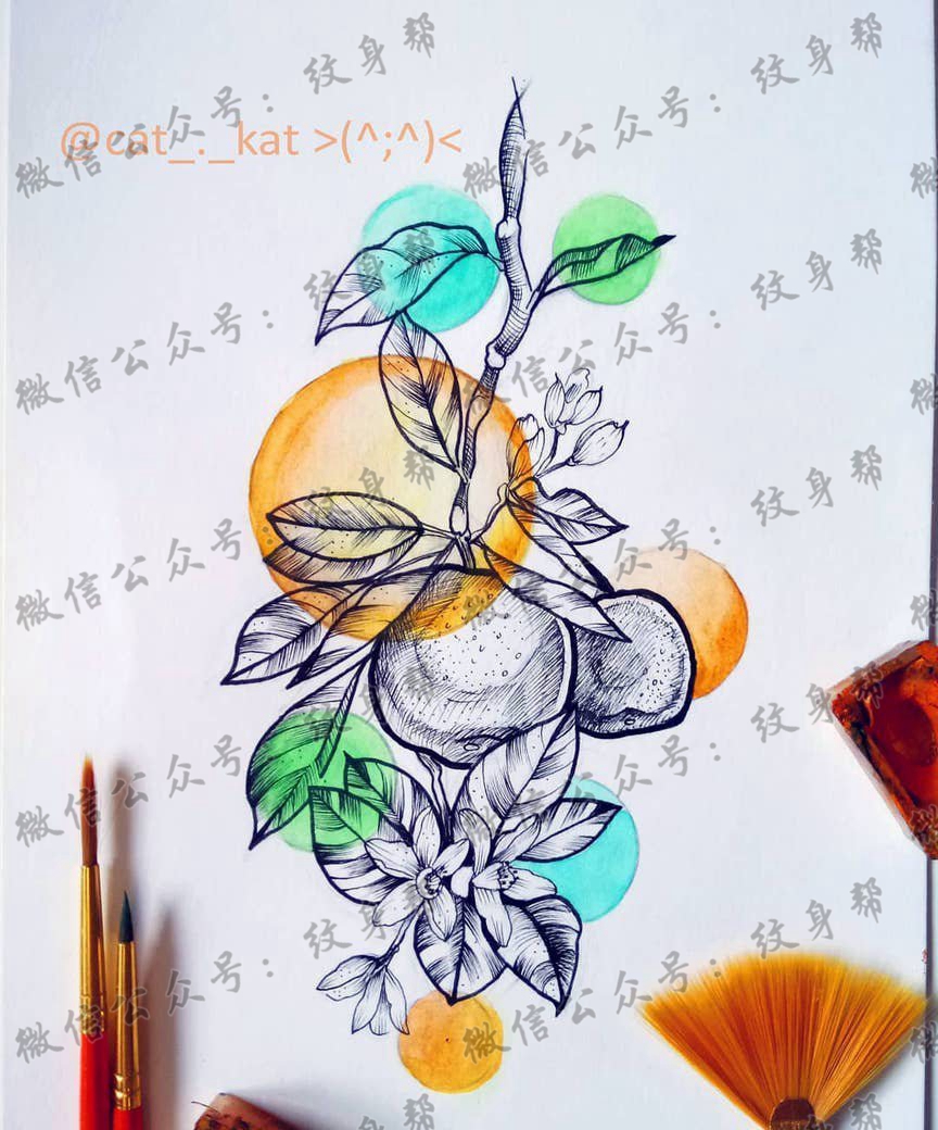 色彩橘子纹身手稿