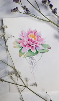 色彩荷花荷叶纹身手稿