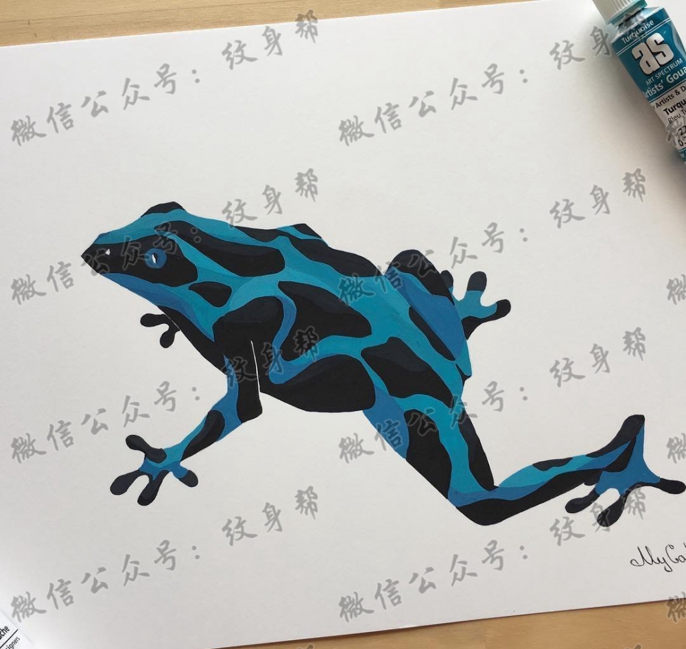 色彩青蛙纹身手稿