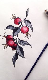色彩山楂纹身手稿