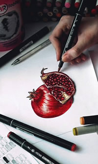 色彩石榴文身手稿