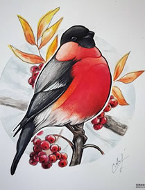 色彩小鸟纹身手稿