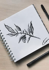 黑灰树叶纹身手稿