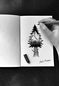 黑灰松树纹身手稿