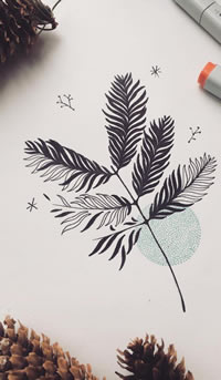 黑灰松树叶圆球纹身手稿
