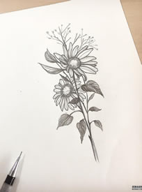 黑灰花纹身手稿