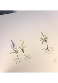 简约小花纹身手稿