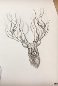 黑灰鹿头纹身手稿