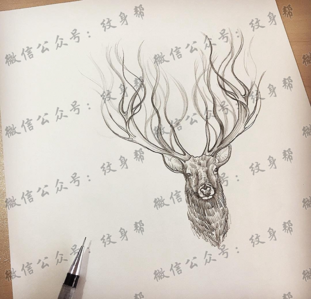 黑灰鹿头纹身手稿