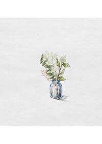 简约瓶子树枝手稿