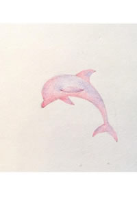 色彩简约海豚纹身手稿