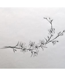 樱花手稿纹身图案