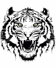 凶猛老虎眼睛带色纹身手稿图案
