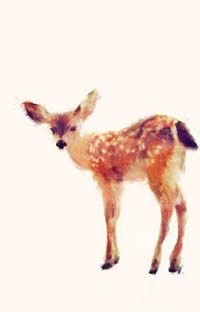 梅花鹿纹身手稿图片大全