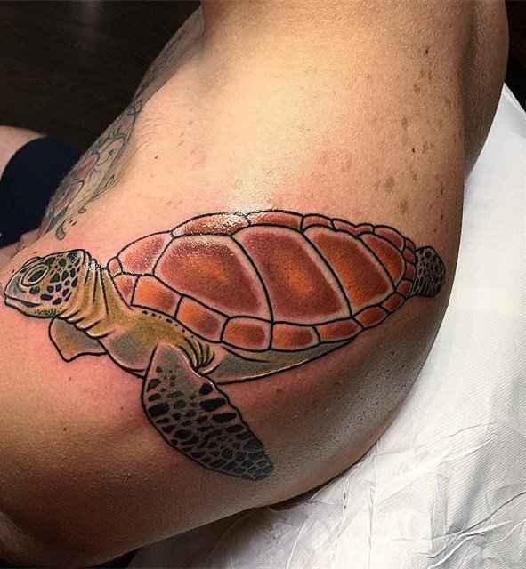 乌龟纹身图案  多款设计别致的乌龟纹身图案