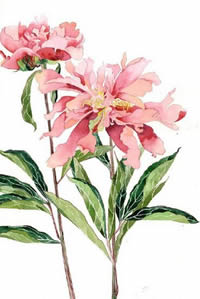 经典花朵绿叶纹身手稿图案