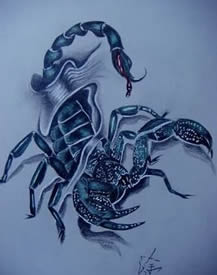 超酷帅气的蝎子纹身手稿