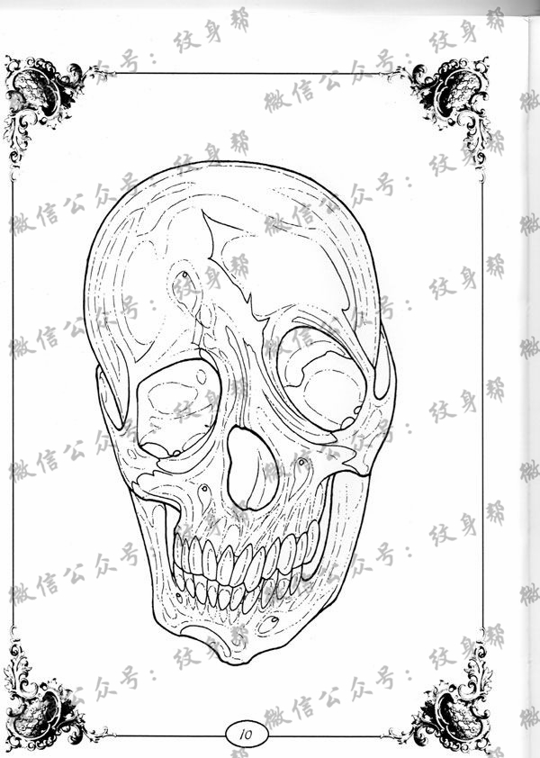 43643晨光骷髅纹身手稿合集