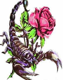 时尚毒物天蝎花朵纹身刺青图案