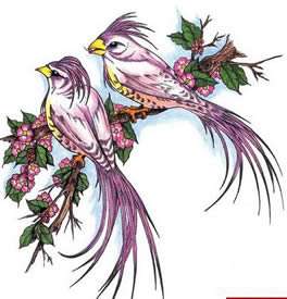 炫彩喜鹊纹身素材