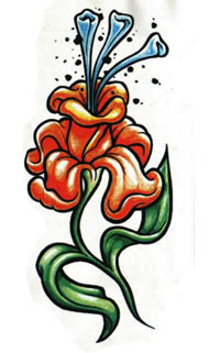 彩色花朵牵牛花纹身手稿