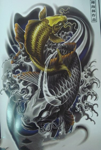 时尚流行的鲤鱼纹身手稿