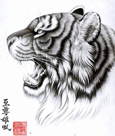 帅气的老虎虎头纹身手稿