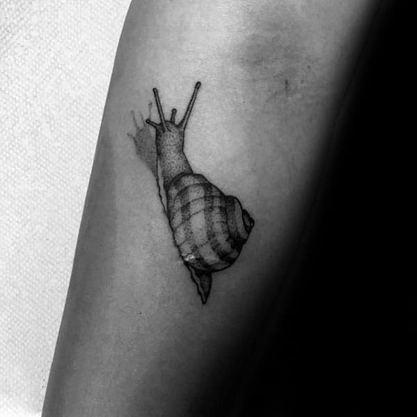 蜗牛纹身图案   行动缓慢的蜗牛纹身图案