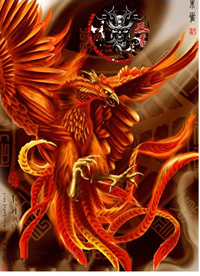 中国四大神兽朱雀纹身手稿