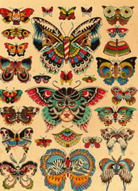 漂亮时尚的一组蝴蝶纹身手稿