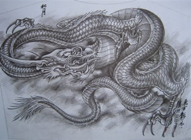 超酷时尚的半背黑灰龙纹身图案