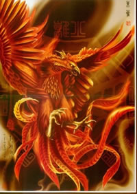 超酷霸气的一款彩色朱雀纹身手稿