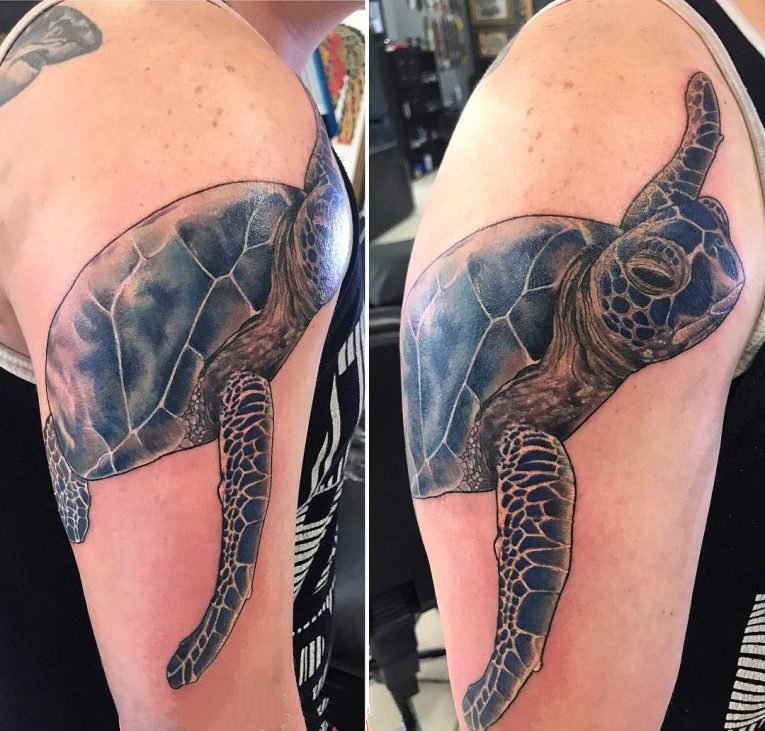 乌龟纹身图案   多款时尚的乌龟纹身图案