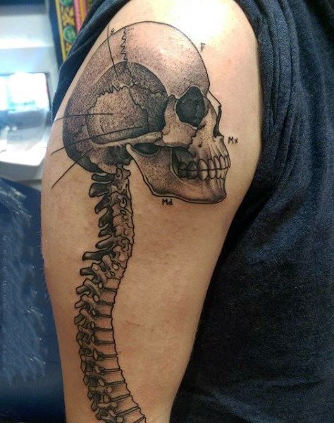 脊柱纹身图案   设计感十足的脊柱纹身图案