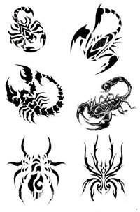 推荐一组蝎子蜘蛛纹身图案