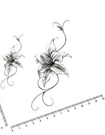 一款线条百合纹身手稿图案