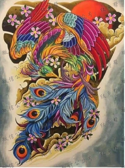 一组15张凤凰纹身手稿素材图案