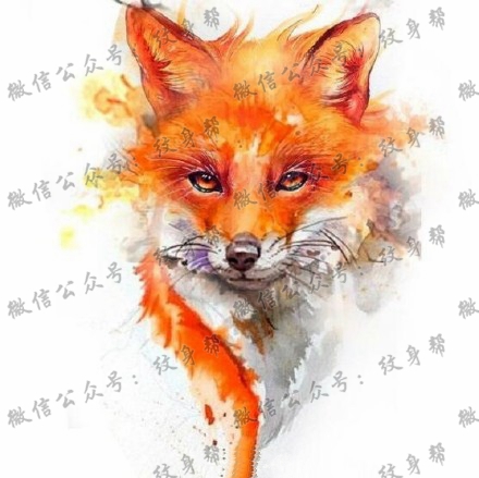 一组16张狐狸纹身手稿素材图案