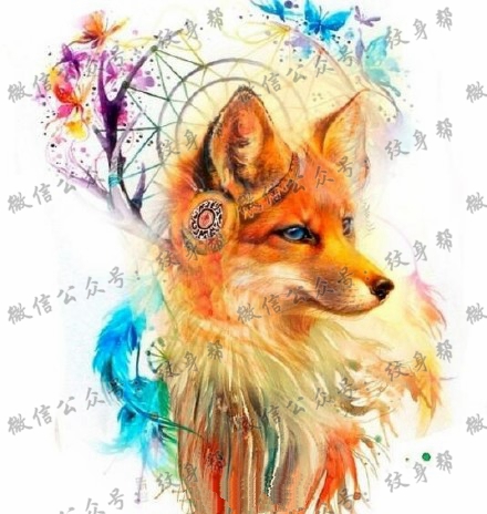 一组16张狐狸纹身手稿素材图案