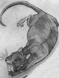 一组黑白小老鼠纹身手稿素材图片