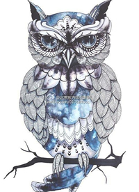 一组漂亮的猫头鹰纹身手稿素材图案缩略频道推荐图